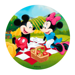 Disney Mickey Minnie Mouse Kage Print O20cm Dekora Bagebixen Dk