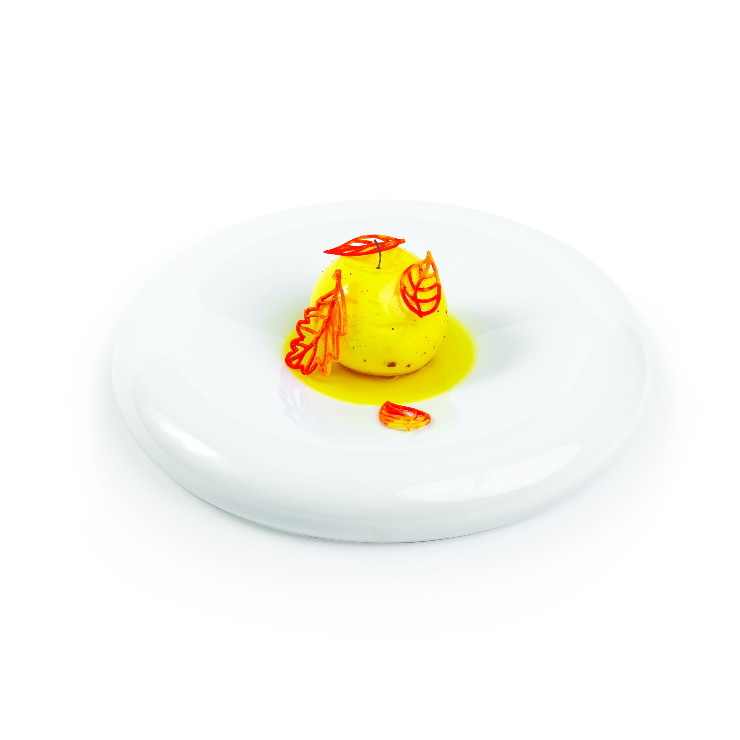 33.330.36.0065_TAIGA_FINITO