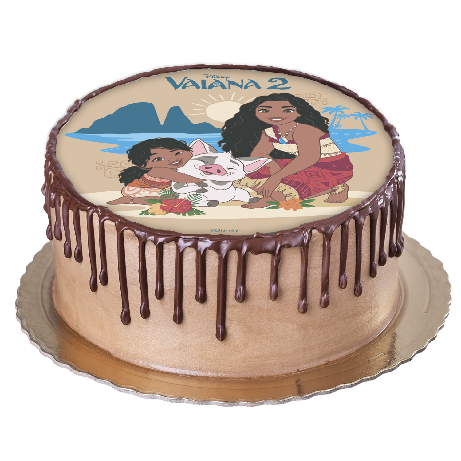 114453-DISCO OBLEA TARTA VAIANA2 20CM_7