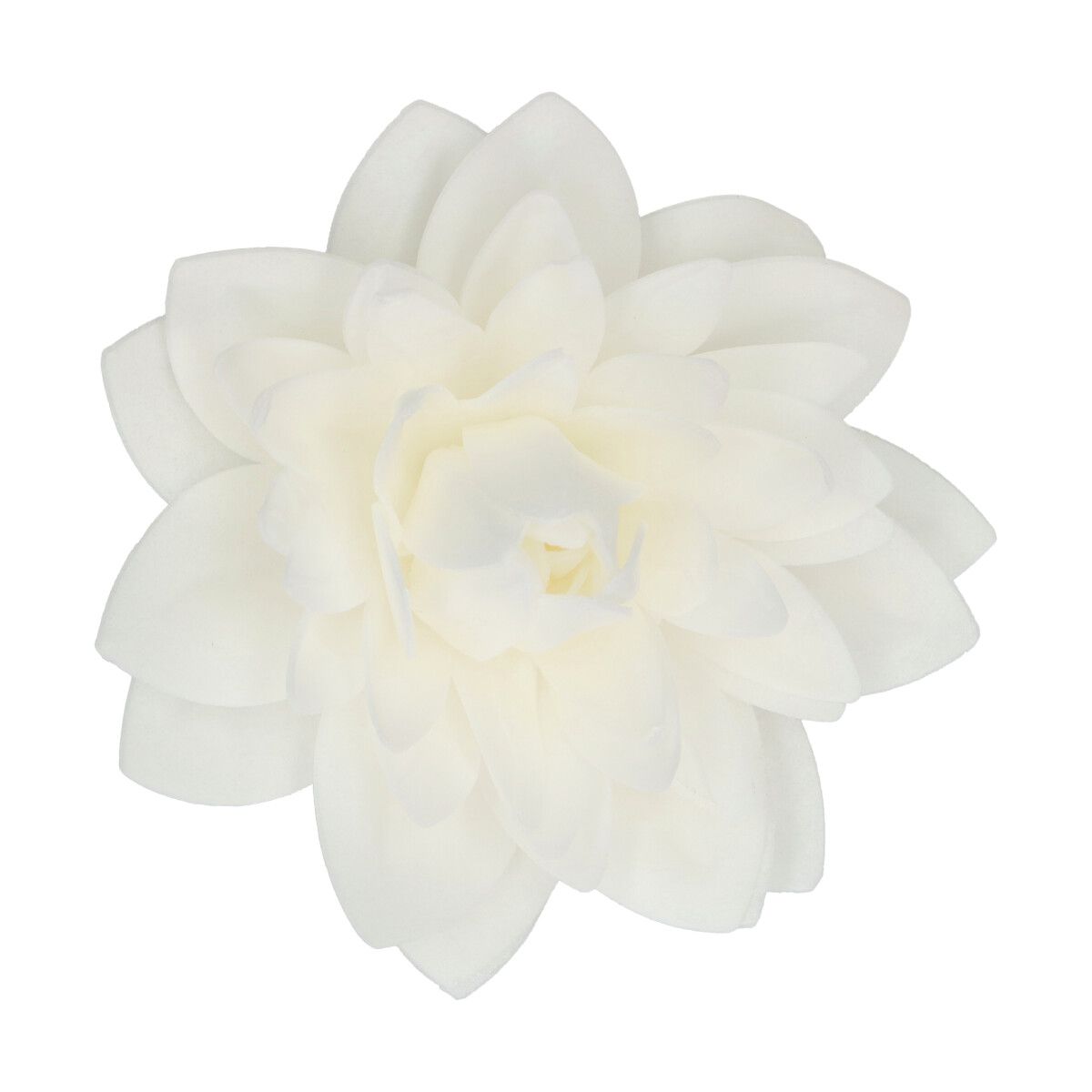 FunCakes2025_F53800_FunCakes_Dahlia_White_Large_2_jpg