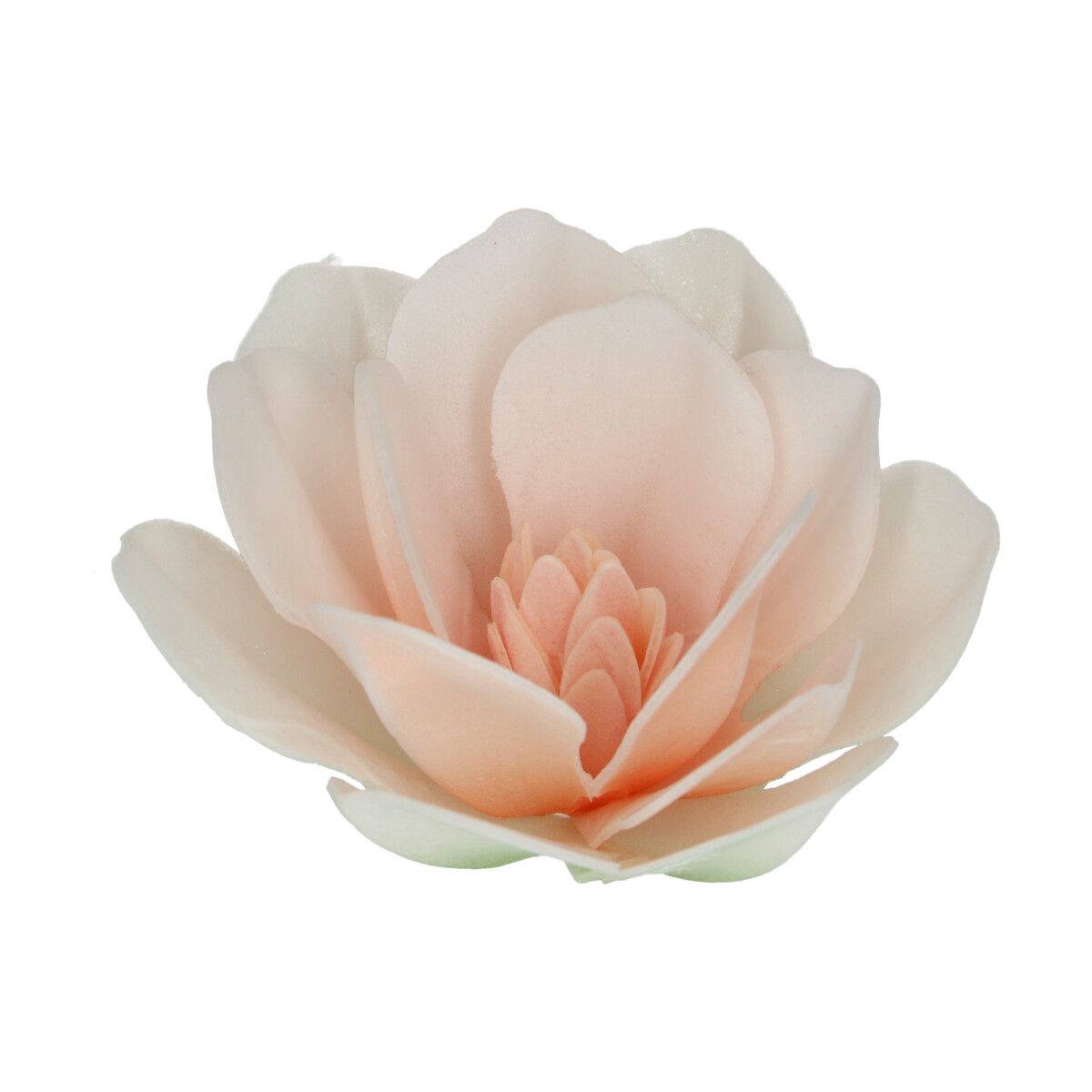 FunCakes2025_F53820_FunCakes_Magnolia_White_Large_2_jpg