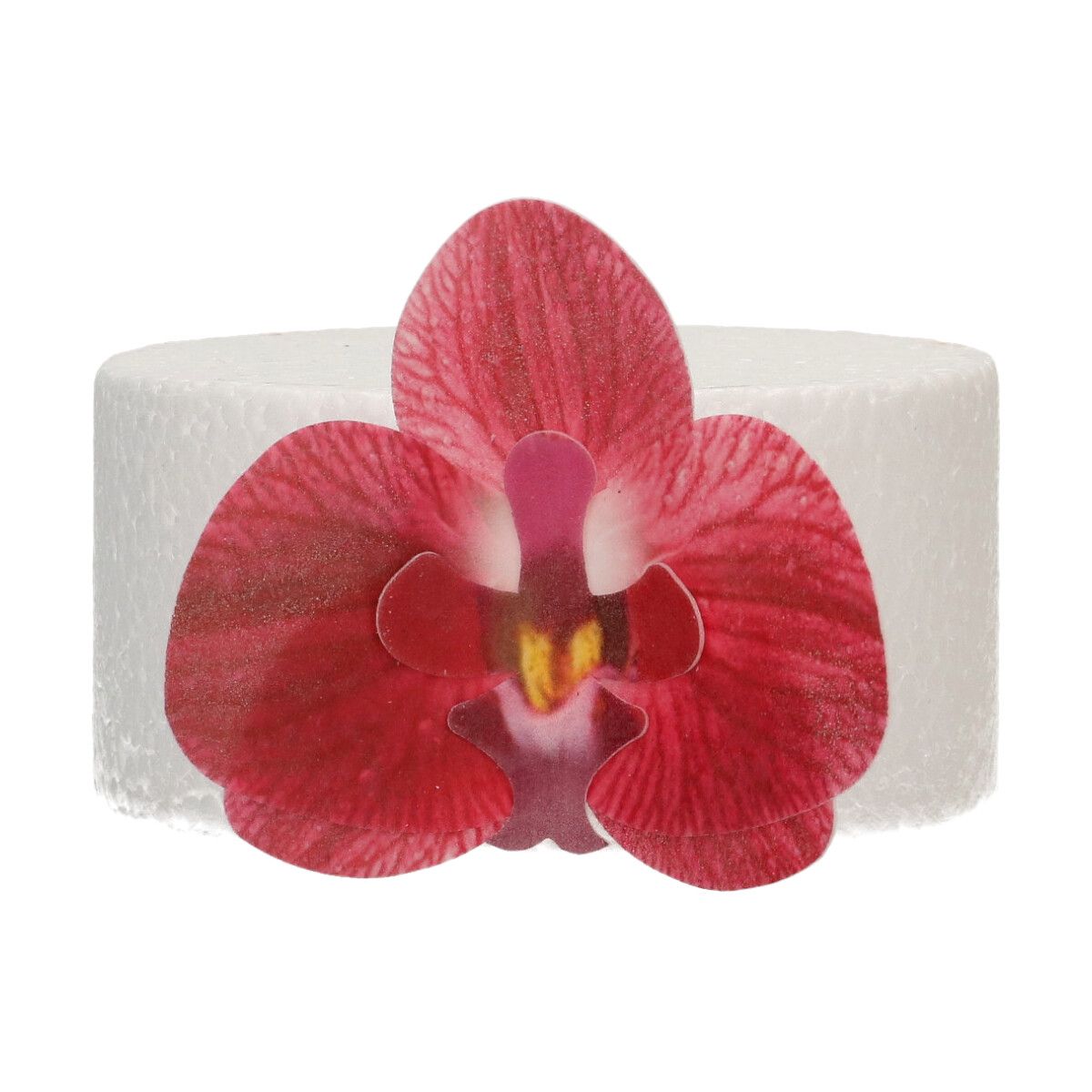 FunCakes2025_F53870_FunCakes_Orchid_Red_Medium_3_jpg